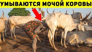 Самые ДИКИЕ Традиции Мира