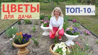 Цветы для дачи не требующие особого ухода