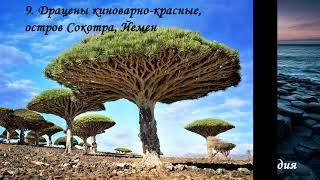 TimonFix   .ТОП 30 удивительных мест на нашей планете