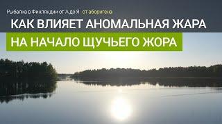 Как влияет аномальная жара на начало щучьего жора?