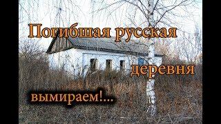ПОЧЕМУ ВСЕ-ТАКИ ВЫМИРАЮТ РУССКИЕ ДЕРЕВНИ. ПРЕДМЕТЫ ДЕРЕВЕНСКОГО БЫТА. ИНТЕРЕСНЫЕ НАХОДКИ. ЧАСТЬ 2