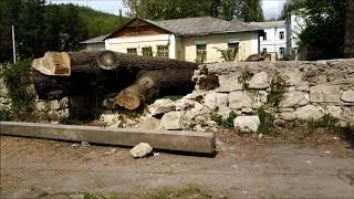 Сороки Часть 3. Уникальные кадры. Удивительные места.