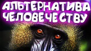 Эволюция и разум: бог не при делах