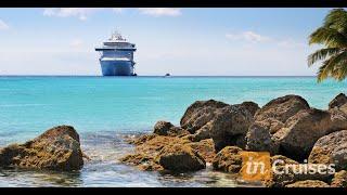 Презентация-брифинг круизного клуба inCruises, 5 января 2021 года