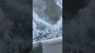 Теплоход жигулевск 1 пробивается к астрахани