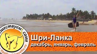 Шри Ланка в декабре, январе и феврале