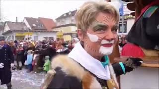 Карнавал в нашем городе
