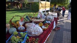 Фестивали в Община Чавдар, Поморие и Каблешково