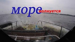 МОРЕ ВОЛНУЕТСЯ. На катере по водохранилищу.