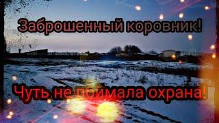 Заброшенный Коровник!///GhostHunting///чуть не поймала охрана