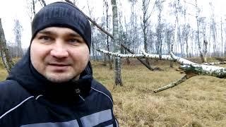 Дикая природа рядом с мегаполисом