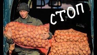 Эстония запретила ввоз российских картофеля и яблок