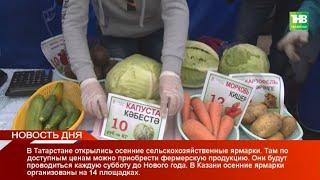 Новости дня 12/09/20 суббота | ТНВ