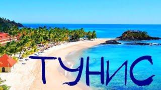 Едем отдыхать в Тунис. Рай на Земле. Природа, отели, питание, шопинг, развлечения