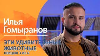 Эти удивительные животные. Илья Гомыранов. Лекция 3 из 6