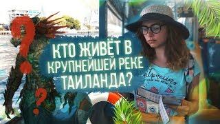 Река Чао Прайя. Таиланд  | Путешествия, Удивительная Азия