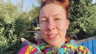 Переночевать в домике с пчёлами. Кельменцы. Черновцы.