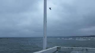 Польша город Sopot пирс Балтийского моря!))