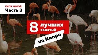 Обзор на Кипр зимой. 8 лучших занятий на Кипре. Что посмотреть и куда пойти? Часть 3