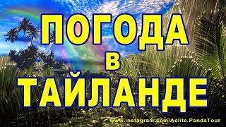 ☀ ПОГОДА в ТАЙЛАНДЕ ☀ СЕЗОН ДОЖДЕЙ в Таиланде ☔️ отдых в тайланде ☀ тайланд отзывы