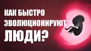 Как быстро эволюционируют люди?