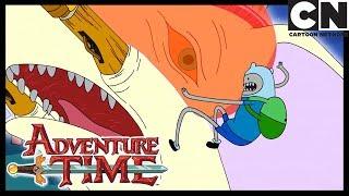 Время приключений | Предел | Cartoon Network