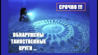 Японские дайверы обнаружили ЗАГАДОЧНЫЕ КРУГИ на морском дне