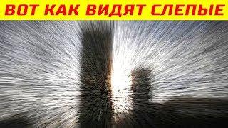 Вот Как Слепые Люди Видят Окружающий Мир