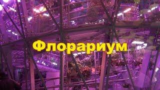 Интересные места в Москве Флолариум в парке Зарядье