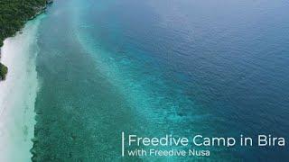 Freedive Camp in Bira