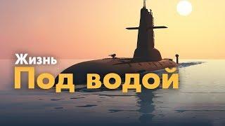 Жизнь под водой