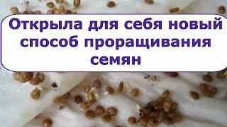 540. Открыла для себя новый способ проращивания семян