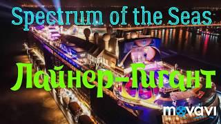 #Vladivostok#CruiseShip   ЗАШЁЛ "SPECTRUM OF THE SEAS"