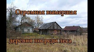 ОГРОМНАЯ ВЫМЕРШАЯ ДЕРЕВНЯ В ЛЕСУ. ЧАСТЬ 4